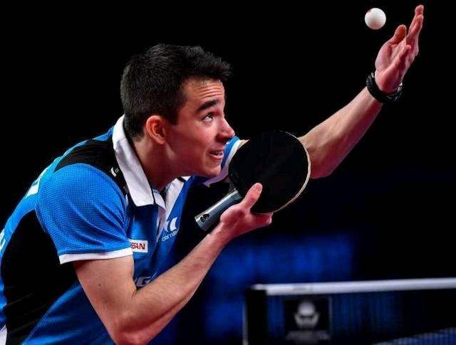 迷与业内人 迷与业内人